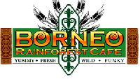 borneo-rainforest
